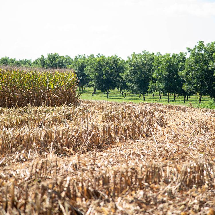 Georgia Ag Week 2021